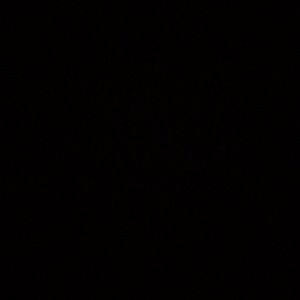 Meet your Posher, Sandy